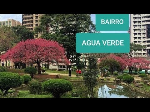 Procurando detetive particular no bairro Água Verde em Curitiba?